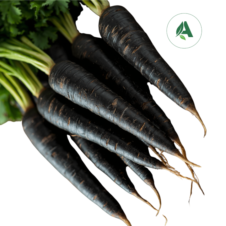 Buy Carrot Black seeds for home gardening