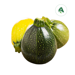 Buy Squash Round yellow seeds for home gardening