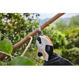 Buy Stihl ASA 20 cordless Pruner online Bangalore