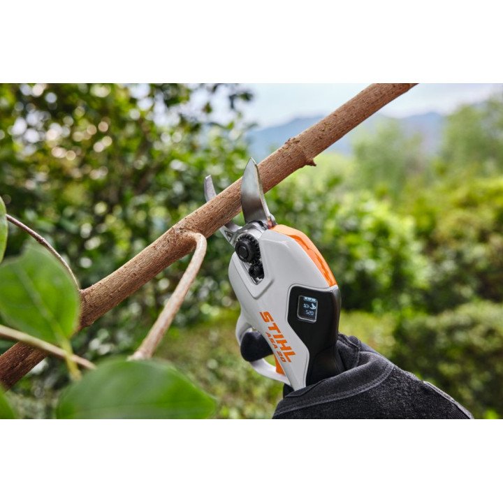 Buy Stihl ASA 20 cordless Pruner online Bangalore