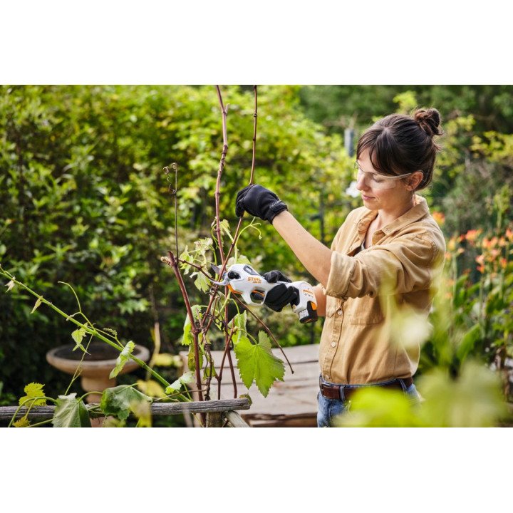 Buy Stihl ASA 20 cordless Pruner online Bangalore