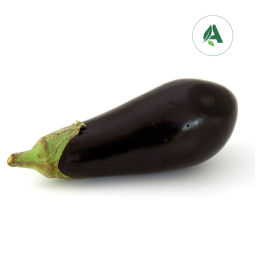 Buy Brinjal seeds for home gardening