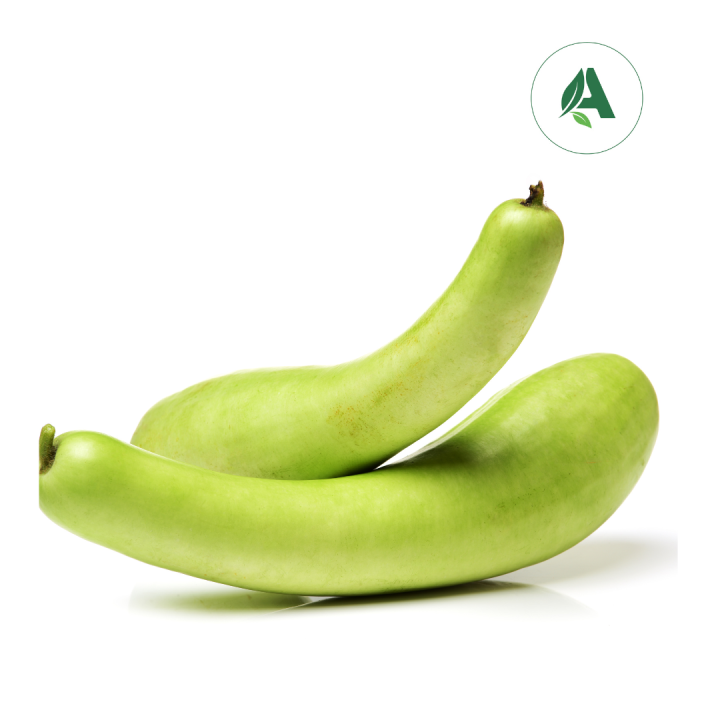 Buy Bottle gourd long seeds Online for Home Gardening