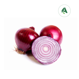 Red onion Seeds