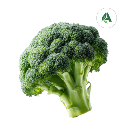 Buy Broccoli seeds for Home gardening