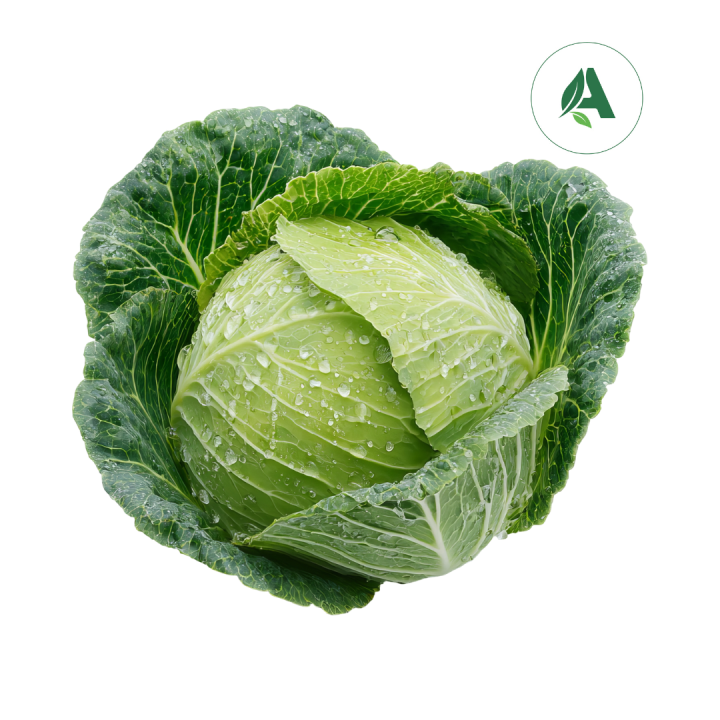 Buy cabbage seeds for Home gardening