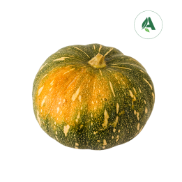 Buy pumpkin seeds for Home gardening