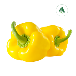 Buy Capsicum yellow seeds for Home gardening