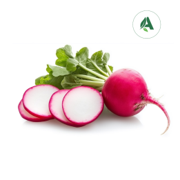 Buy Radish Red Globe seeds for Home gardening